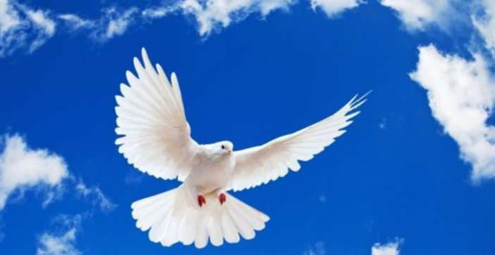 ΑΡΓΙΑ ΑΓ.ΠΝΕΥΜΑΤΟΣ