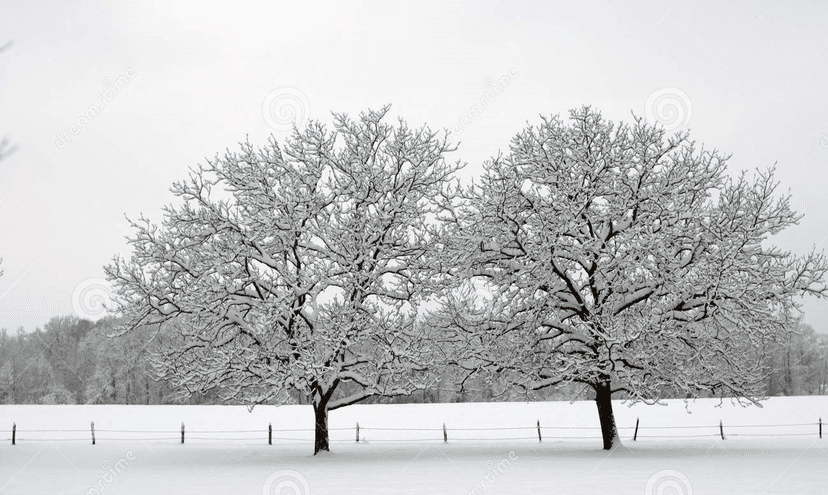 Ακύρωση μαθημάτων